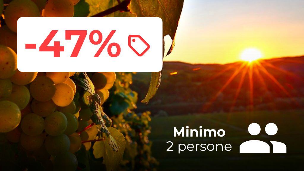 autunno-sconti-i-vini-della-mosella-winery-bike-tour